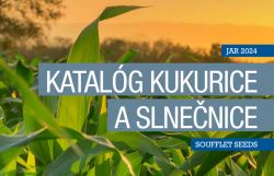 KATALÓG OSÍV KUKURICE A SLNEČNICE PRE ROK 2024