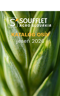 KATALÓG OSÍV JESEŇ 2026 JE TU