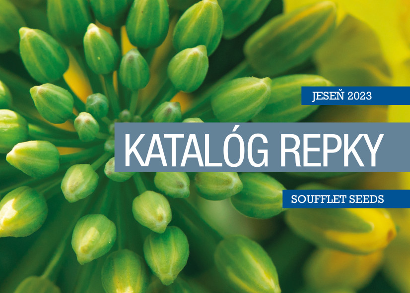 NOVÝ KATALÓG REPKY SOUFFLET SEEDS 2023
