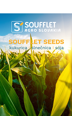 NOVÝ KATALÓG SOUFFLET SEEDS – KUKURICA, SLNEČNICA A SÓJA 2026